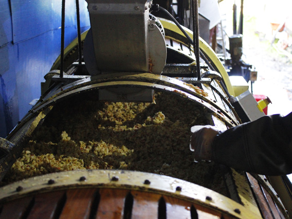 シードル作り①