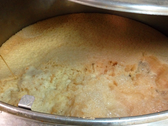 シードル作り④